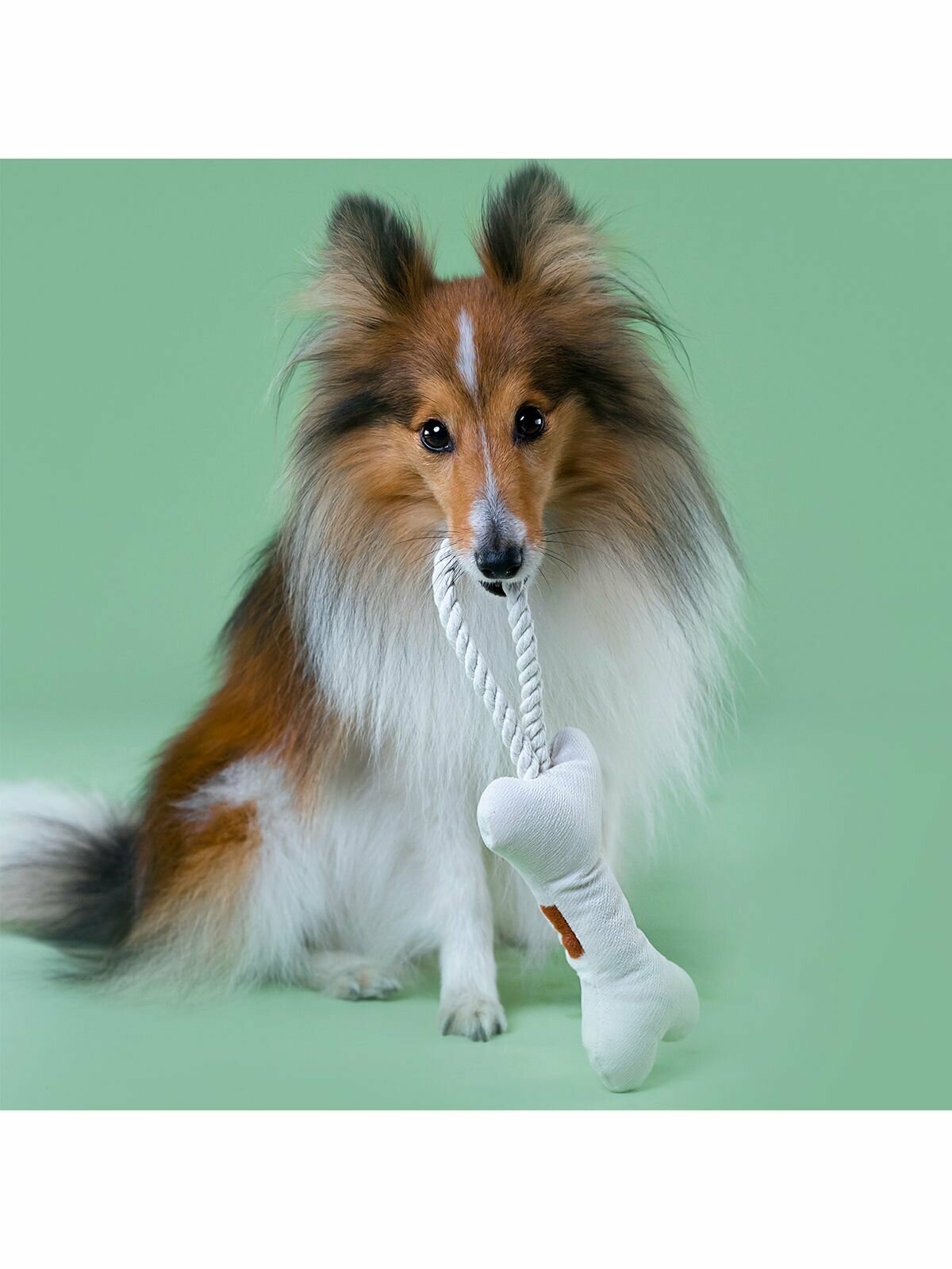 Mr.Kranch игрушка для собак косточка с канатом (31 х 9 х 4 см., Бежевый) - фото №2