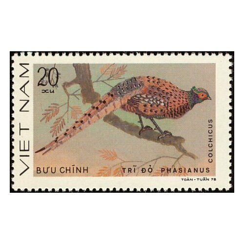 (1979-040a) Сцепка (2 м) Вьетнам Обыкновенный фазан Без перфорации Птицы III Θ