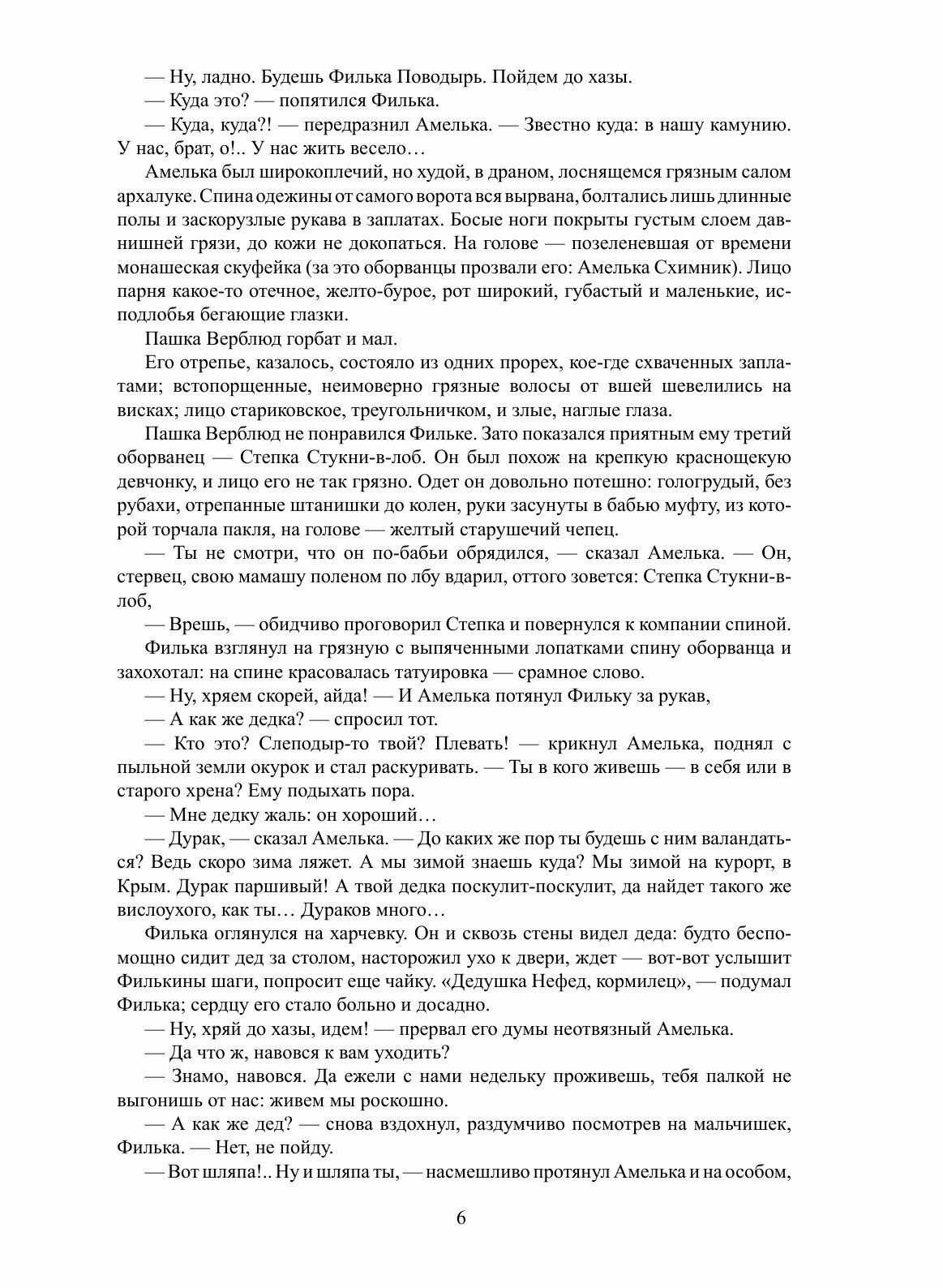 Книга Странники (Шишков Вячеслав Яковлевич) - фото №8