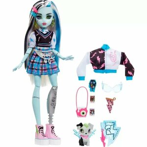 Кукла Монстр Хай Френки Штейн Monster High Frankie Stein Streaked Hair, HHK53