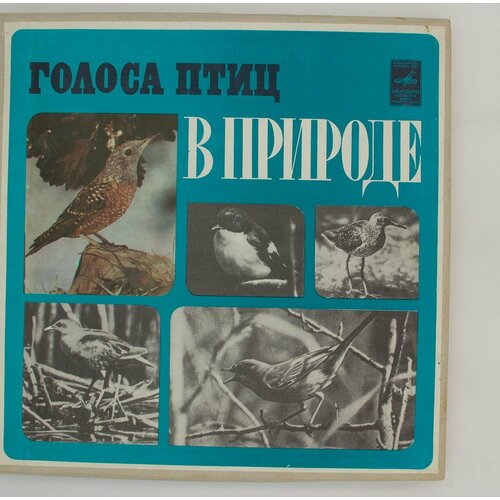 Виниловая пластинка Разные - Голоса Птиц Природе (10 виниловая пластинка голоса зверей звуки моря кто говорит