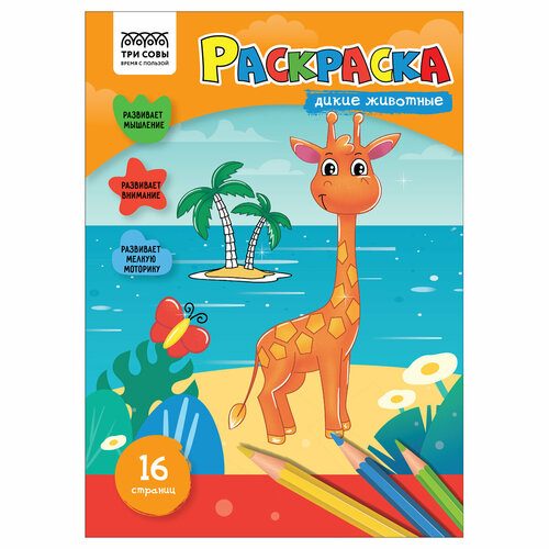 Раскраска А4 ТРИ совы 