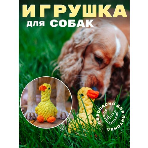 Игрушка 