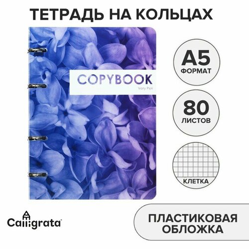 Тетрадь на кольцах, в клетку, 80 листов CoopyBook. Very Peri, пластиковая обложка, блок офсет