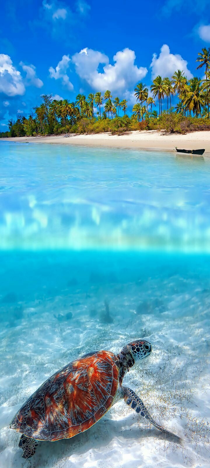 Самоклеящиеся фотообои 