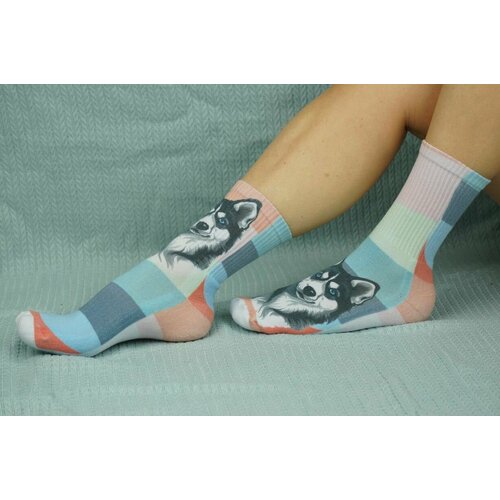 фото Носки шерстянки, размер 35/38, серый, синий, белый