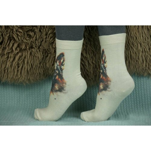 фото Носки шерстянки, размер 39/42, коричневый, белый