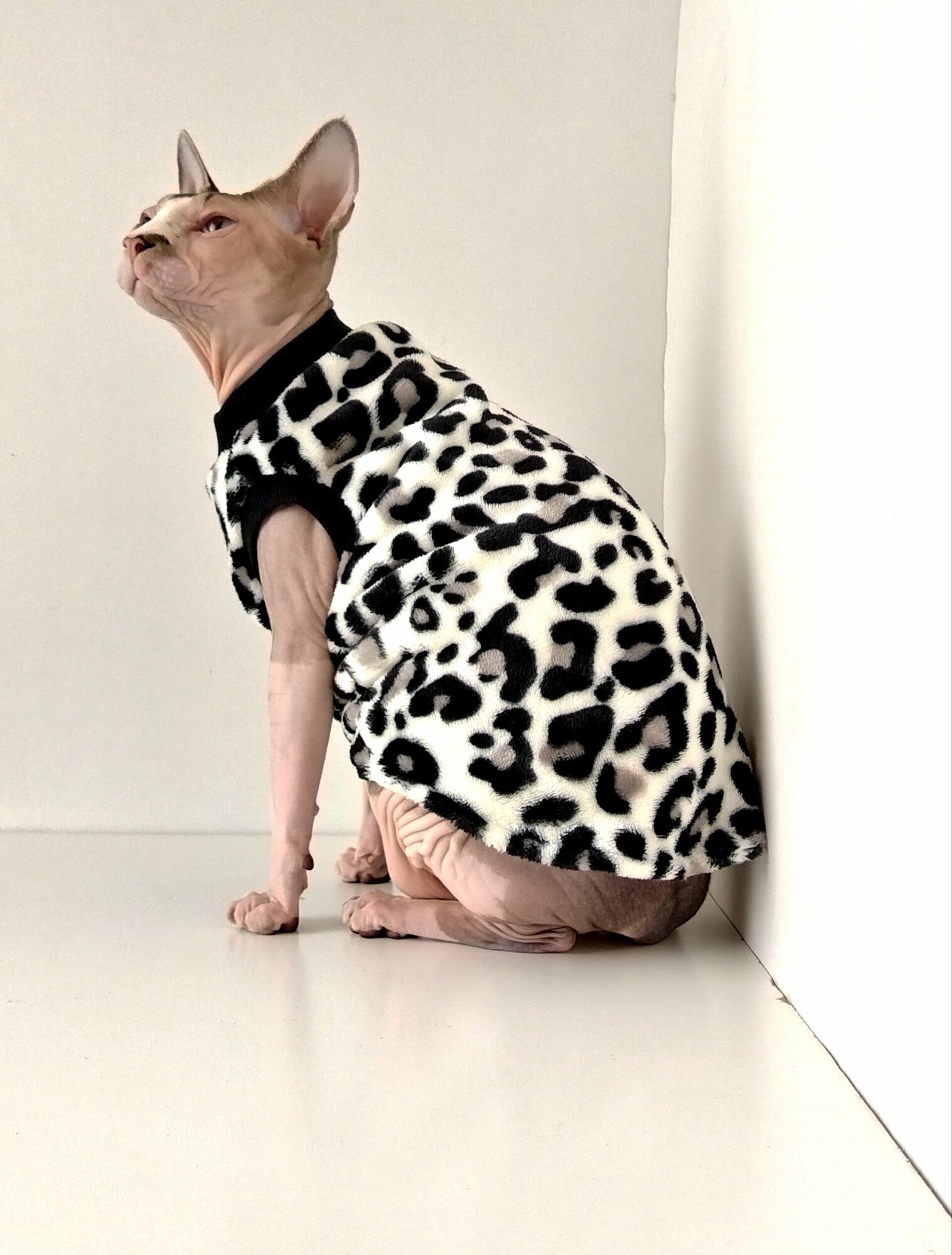 Толстовка, свитер, шуба для кошек сфинкс, размер 30 (длина спины 30см), цвет леопардовый/ Одежда для кошек сфинкс / одежда для животных - фотография № 3