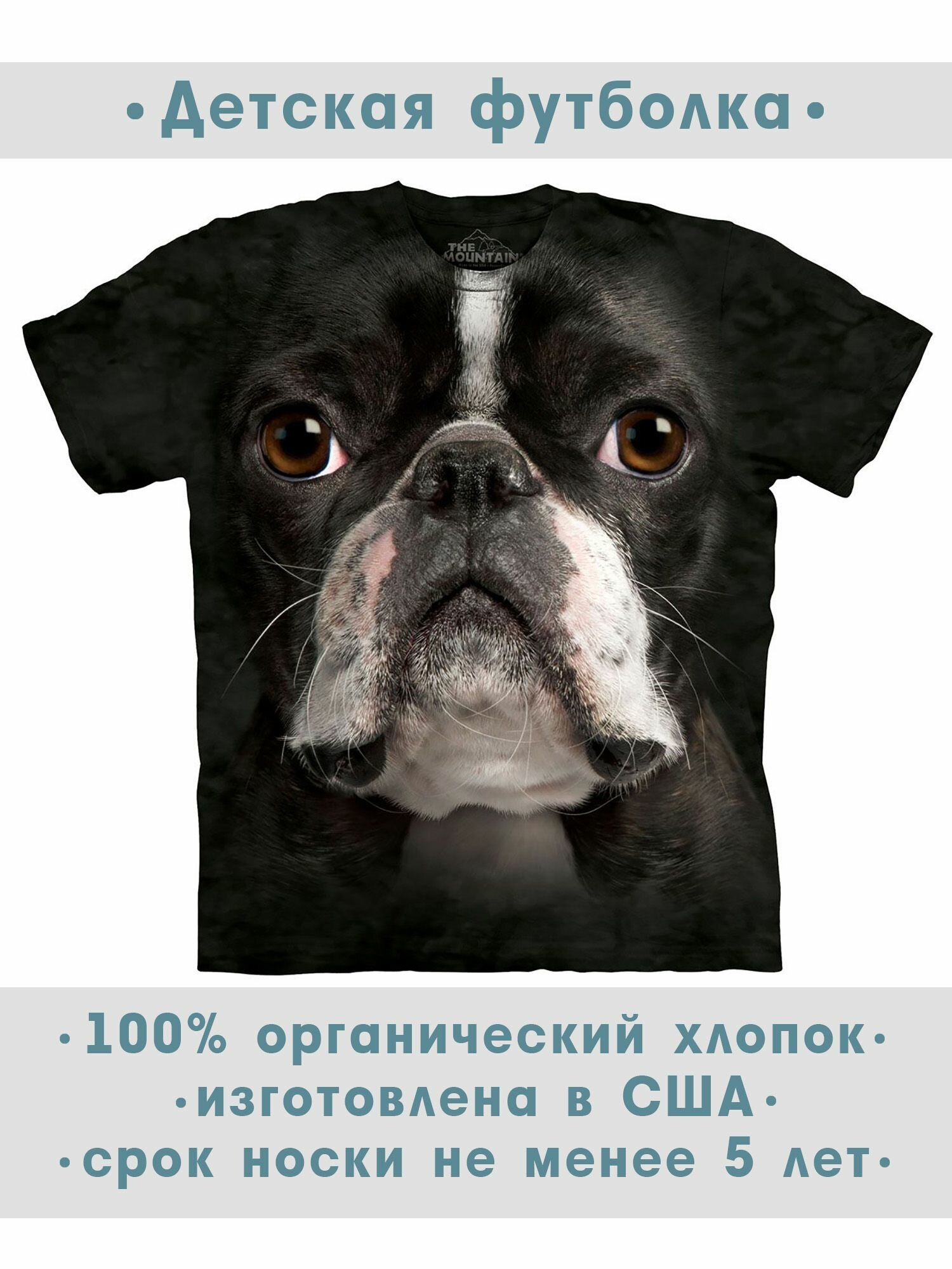 Футболка детская The Mountain "Boston Terrier"