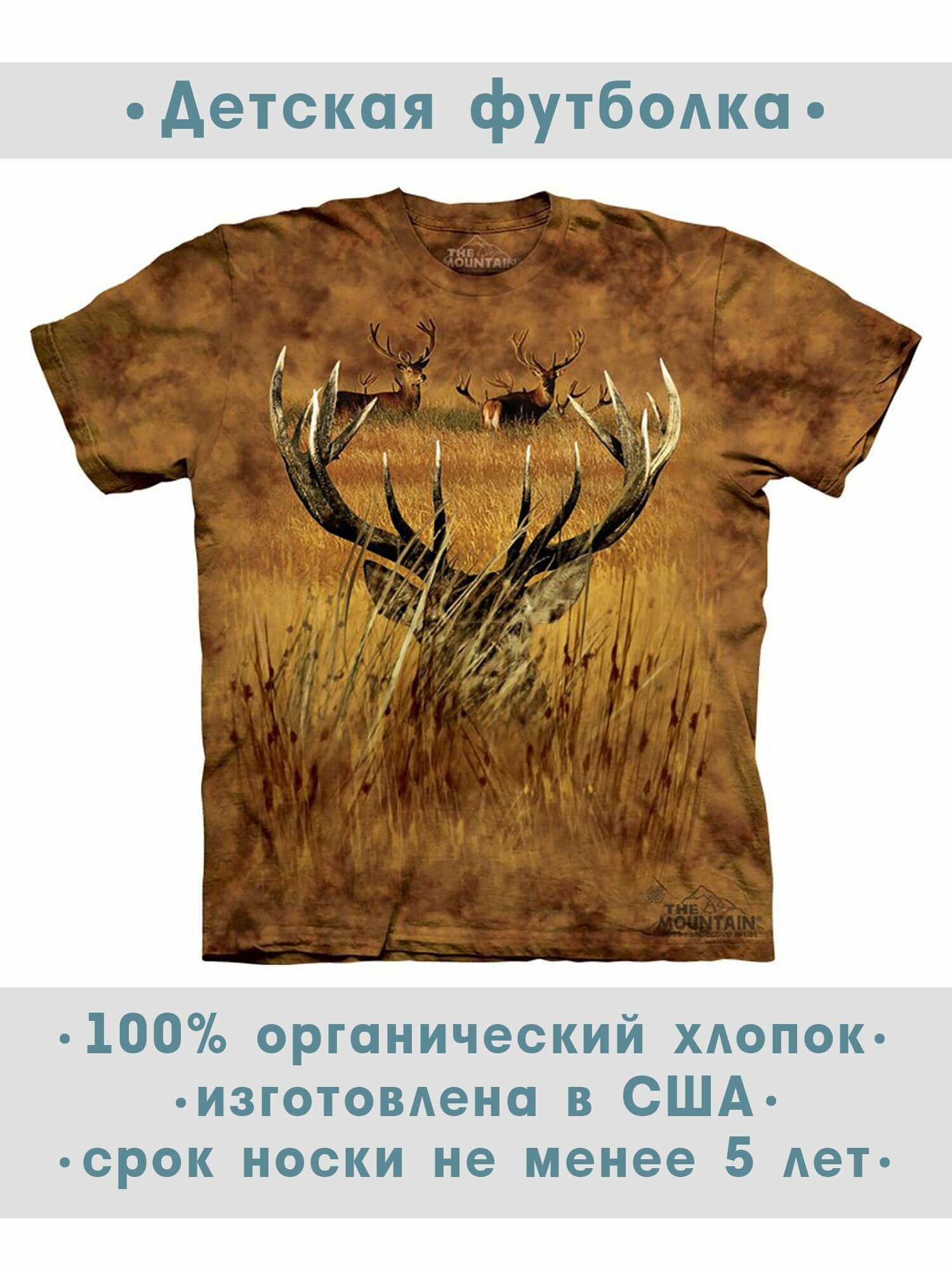 Футболка детская The Mountain "Hidden"