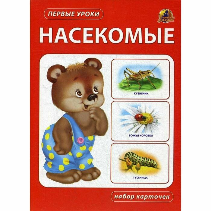 Книга Насекомые (без автора) - фото №2