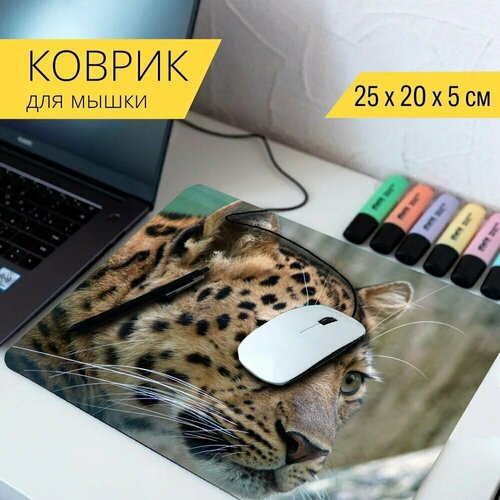 Коврик для мыши с принтом Леопард, амурский леопард, кот 25x20см.