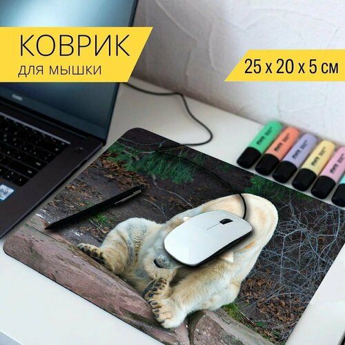 Коврик для мыши с принтом Icebear, нести, зоопарк 25x20см. коврик для мыши с принтом зоопарк icebear животное 25x20см