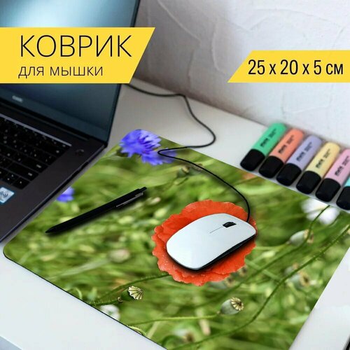 Коврик для мыши с принтом Мак, кукурузный мак, красный 25x20см.