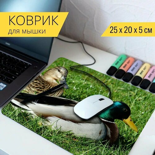 Коврик для мыши с принтом Пара уток, пара, утки 25x20см. коврик для мыши с принтом уток древесины утки птицы 25x20см