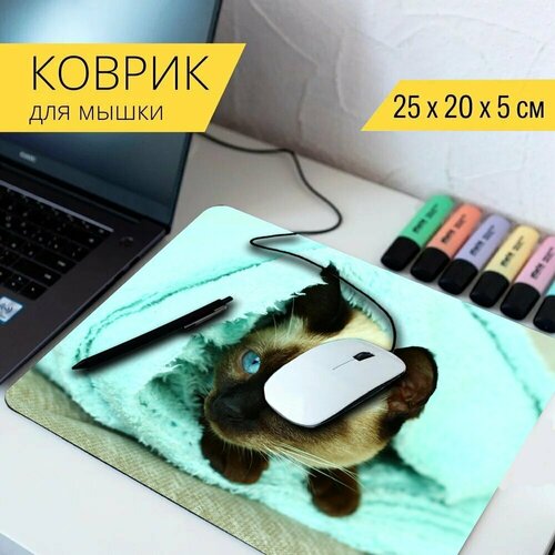 стол кошка сиамская кошка feline 65x65 см кухонный квадратный с принтом Коврик для мыши с принтом Сиамская кошка, кошка, бирюзовый 25x20см.