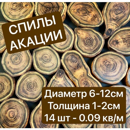 Спилы дерева Акация 6-12 см 14 шт