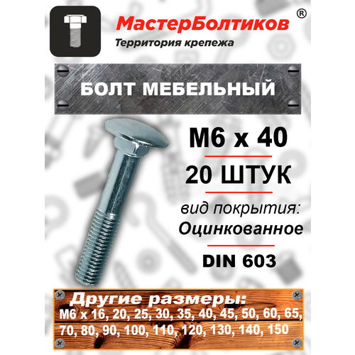 Болт мебельный 6х 40 оцинкованный (20 штук)