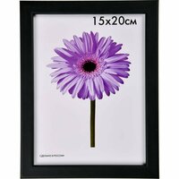 Деревянная рамка ООО Изометрика Sasha 10x15 см черная 0011-4-0018 предназначена для размещения фотографий.;
Придает фотографии законченный вид,  ...