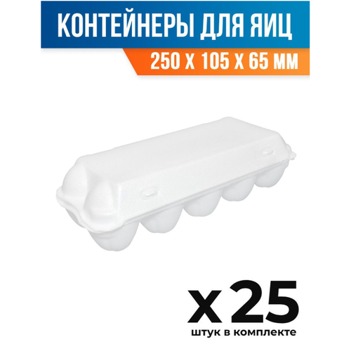 (25 шт.) - Контейнер-упаковка (лоток) для яиц, 250x105x65 мм, ВПС (ПОС27860_25)