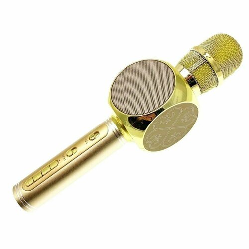 Беспроводной микрофон-караокеКолонка-микрофонЗолото 179000₽