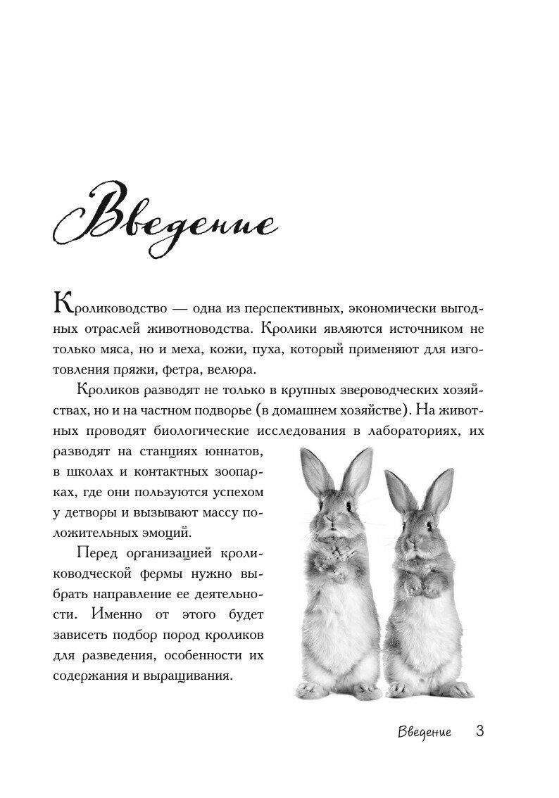 Разведение кроликов без ошибок. Руководство для начинающих фермеров