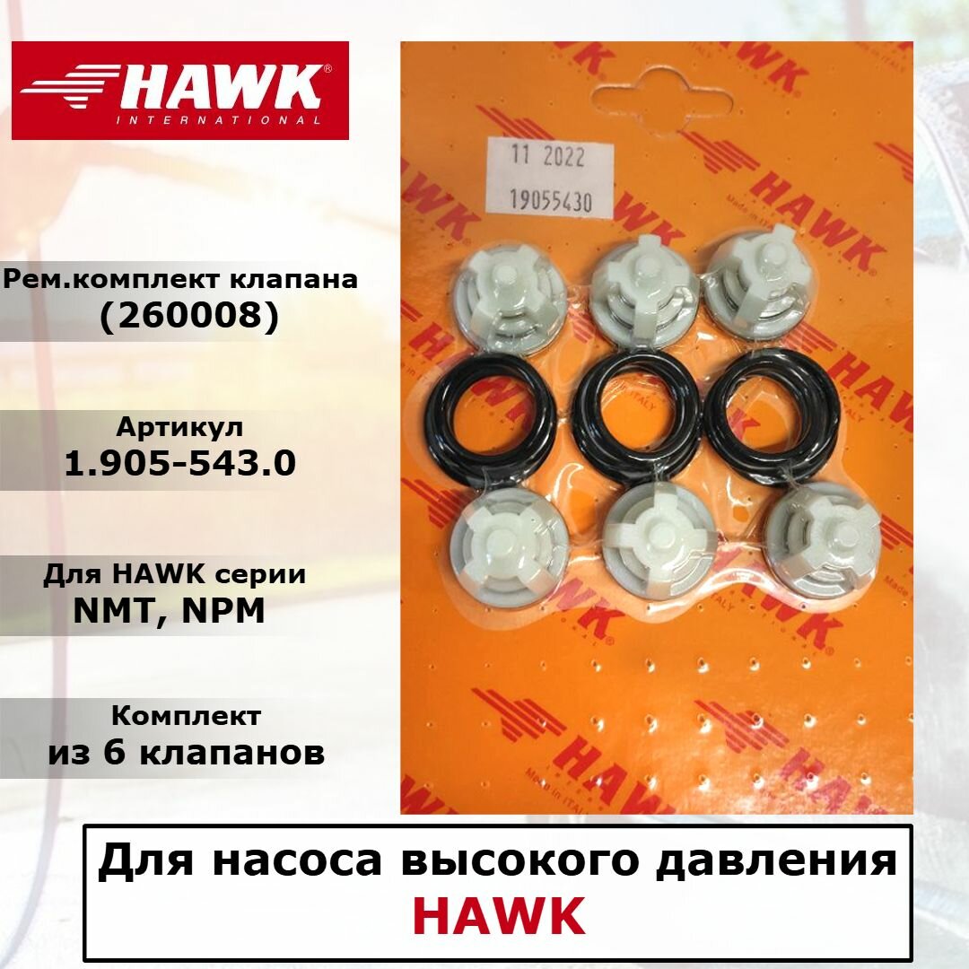 Ремкомплект клапанов на насосы высокого давления HAWK серии NMT, NPM. Арт. 1.905-543.0 (260008)