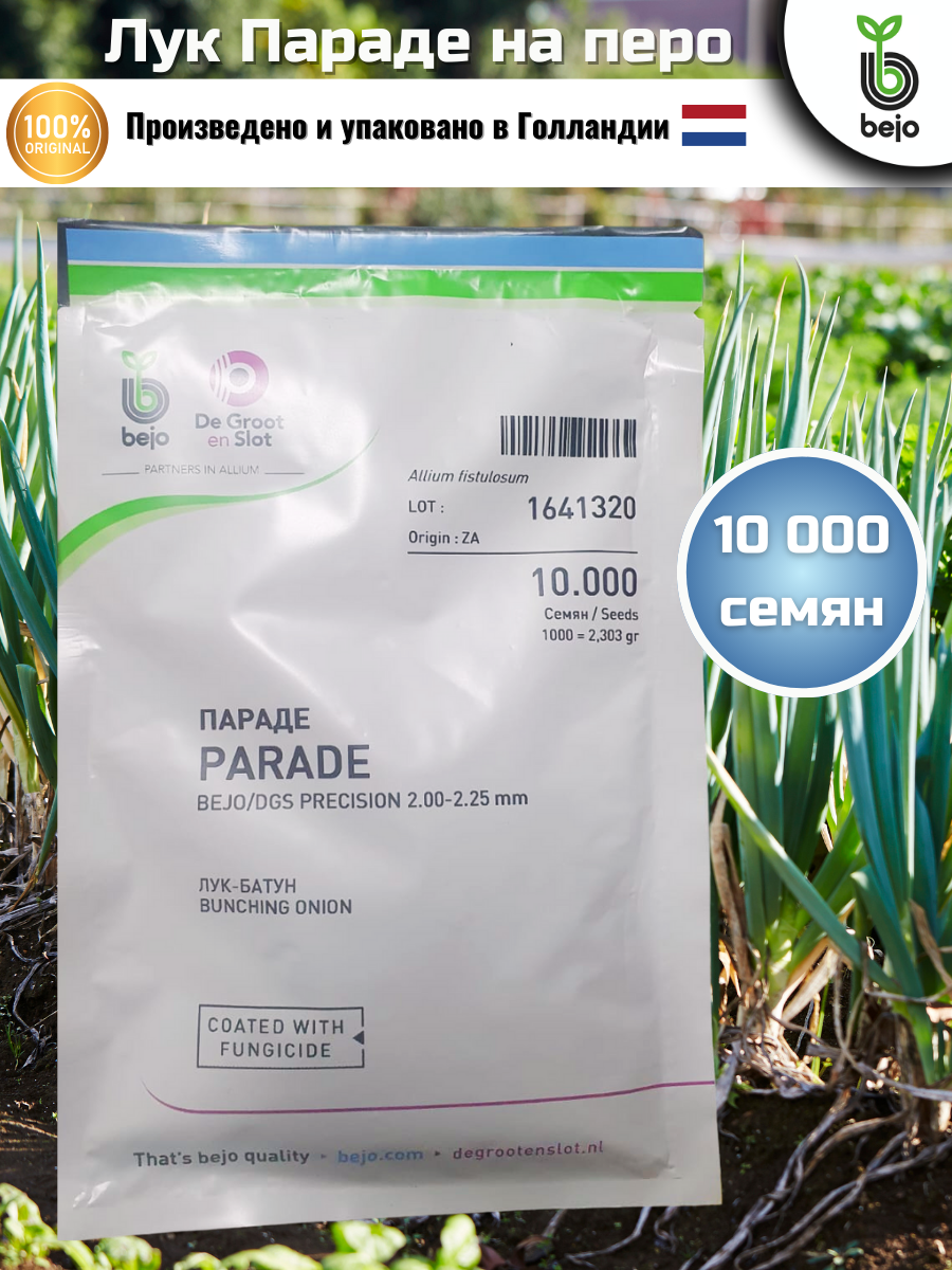 Параде - семена лука на перо 10 000 семян (прецизионные) Bejo/Бейо (Голландия)