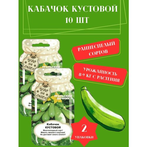 Семена Кабачок Кустовой,2 упаковки семена кабачок аппетитный горшочек 2 упаковки 2 подарка