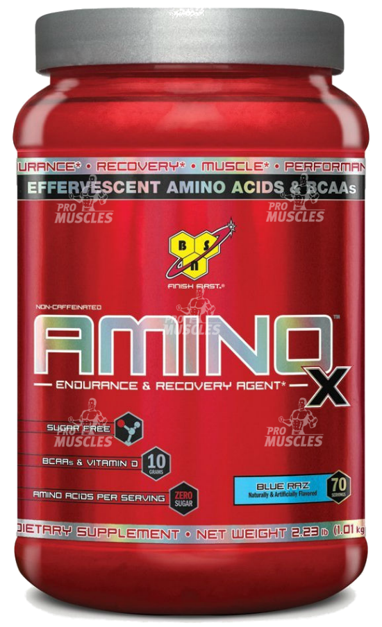 Amino-X 1020 гр 2.24 lb (BSN) Ежевика