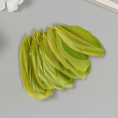 Перо декоративное гусиное Зелёное в форме листа набор 40 шт h=5-7 см макароны lafarello перо 500 г