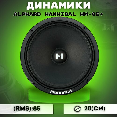 Колонки автомобильные Alphard Hannibal HM-8E 299000₽