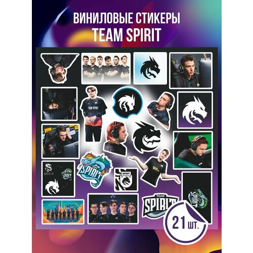 Наклейки Team Spirit биокрим team spirit