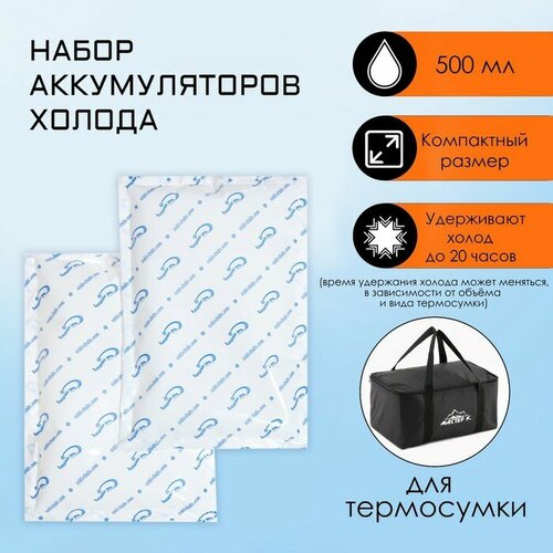 фото Набор аккумуляторов холода, гелевые, 2 шт по 500 мл, 14.5 х 22 х 2.5 см mikimarket