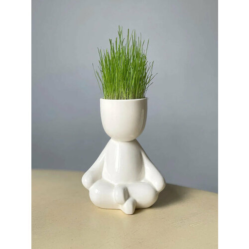 Экочеловек Гуру 890₽