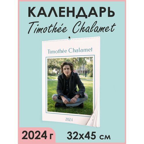 Календарь 2024 / Тимоти Шаламе настенный календарь А3 12 листов и обложка