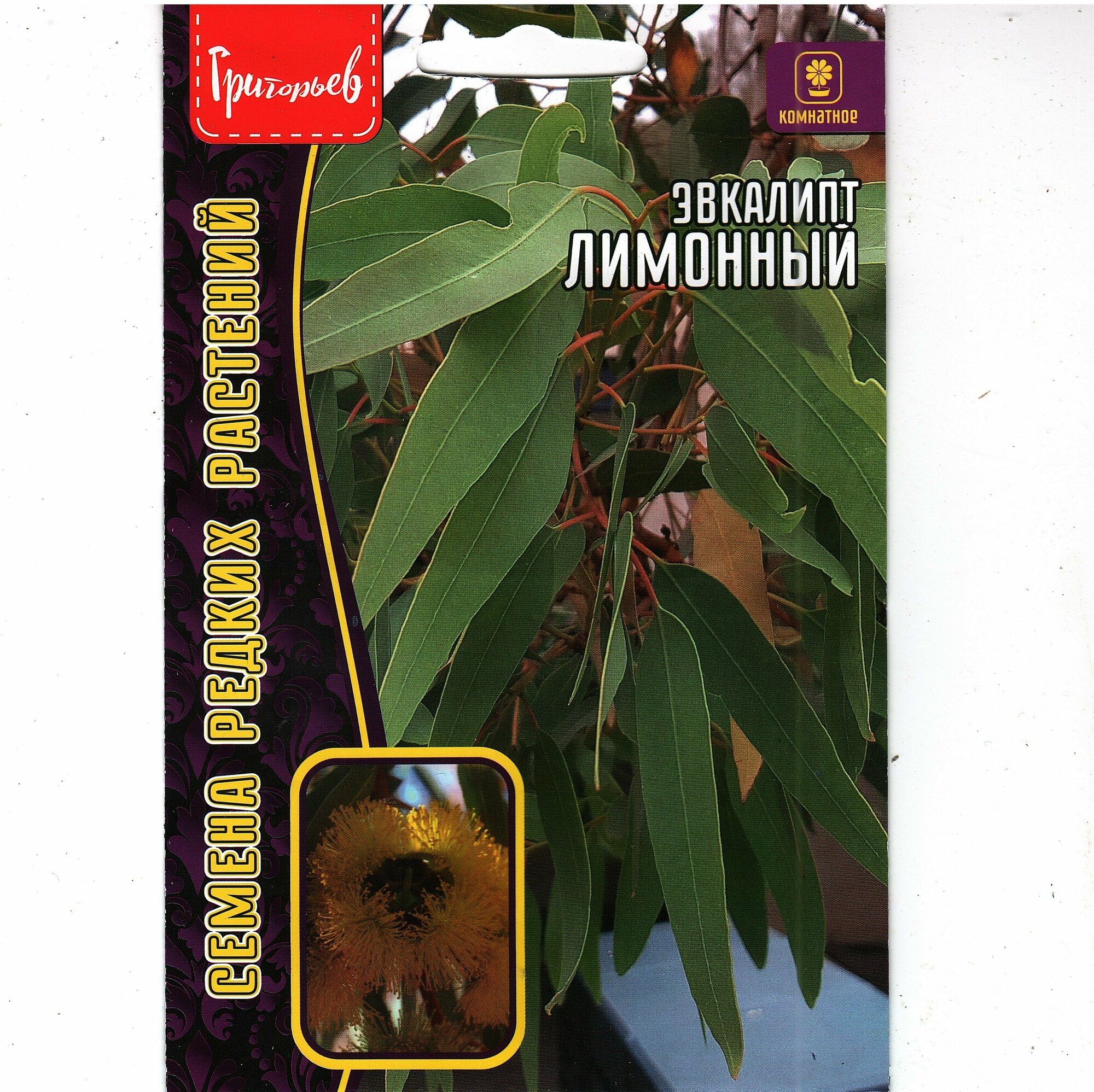 Эвкалипт Лимонный/ Eucalyptus citriodora комнатный многолетник оздоравливает воздух ( 1 уп: 0.1 г семян )