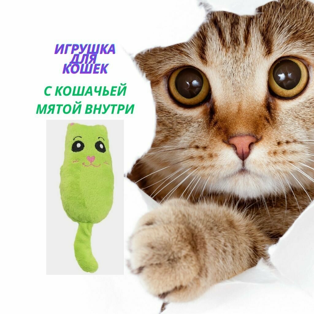 Мягкая игрушка для кошек и собак с кошачьей мятой - фотография № 1