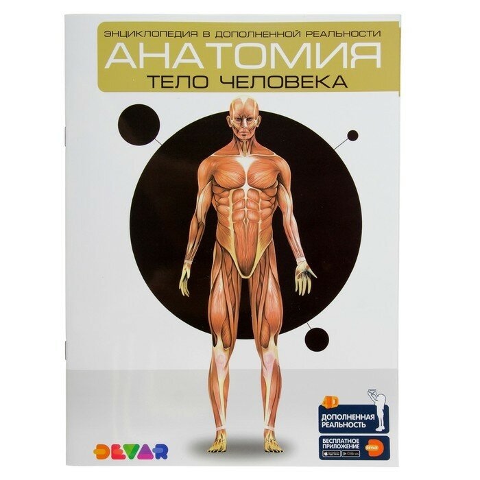Энциклопедия в дополненной реальности Анатомия Тело человека - фото №20