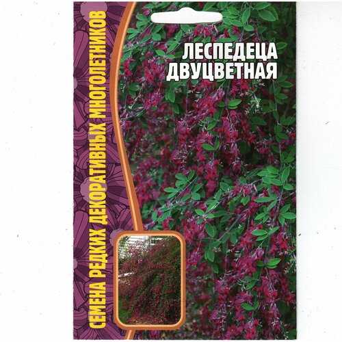 Леспедеца двуцветная, многолетний листопадный кустарник ( 1 уп: 10 семян ) азалия рододендрон шлиппенбаха многолетний кустарник 1 уп 0 01 г