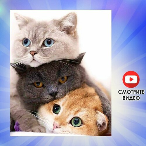 Алмазная мозаика 