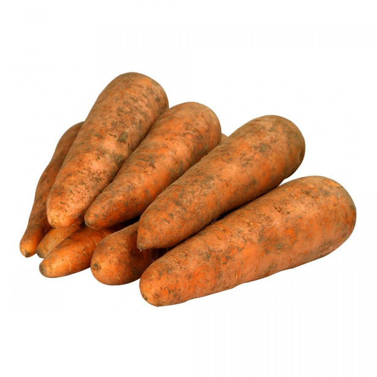 Морковь немытая весовая, 500 г