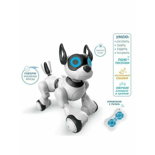 фото Интерактивная игрушка собака робот на радиоуправлении family store