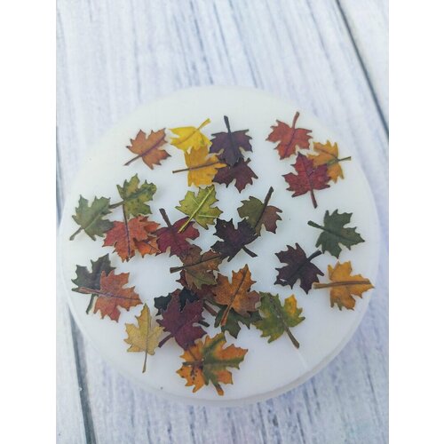 Набор сухоцветов 