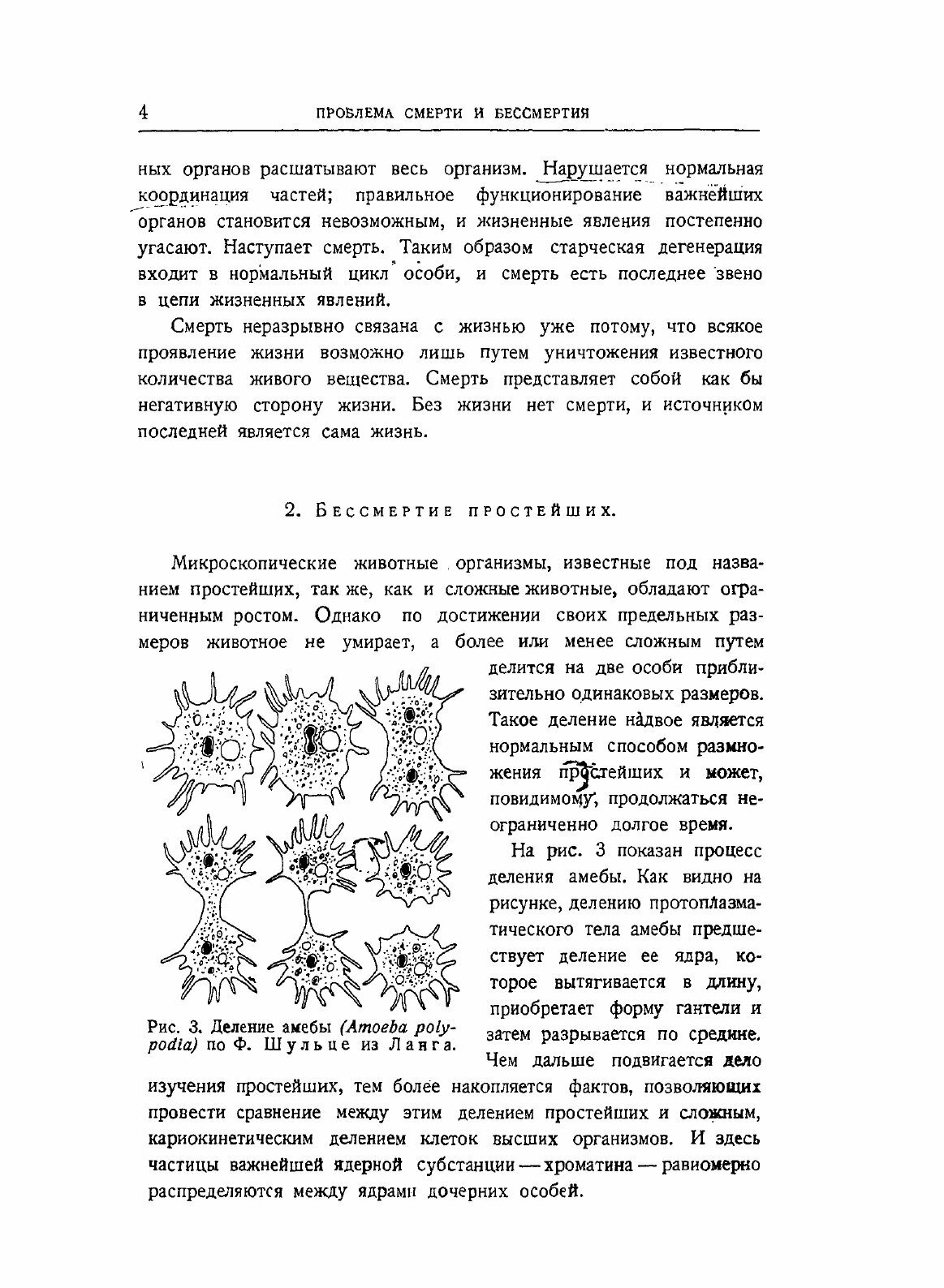 Книга Проблема Смерти и Бессмертия - фото №6
