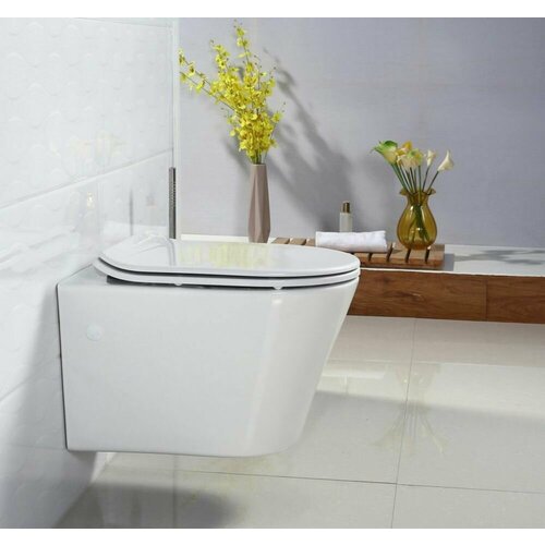 Подвесной унитаз BelBagno Flay-R BB506CH