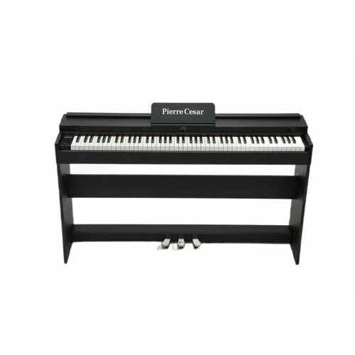 пианино цифровое pierre cesar dp 500 h bk Цифровое пианино Pierre Cesar DP-12-H-BK, черный + 3х-педальный блок на стойке