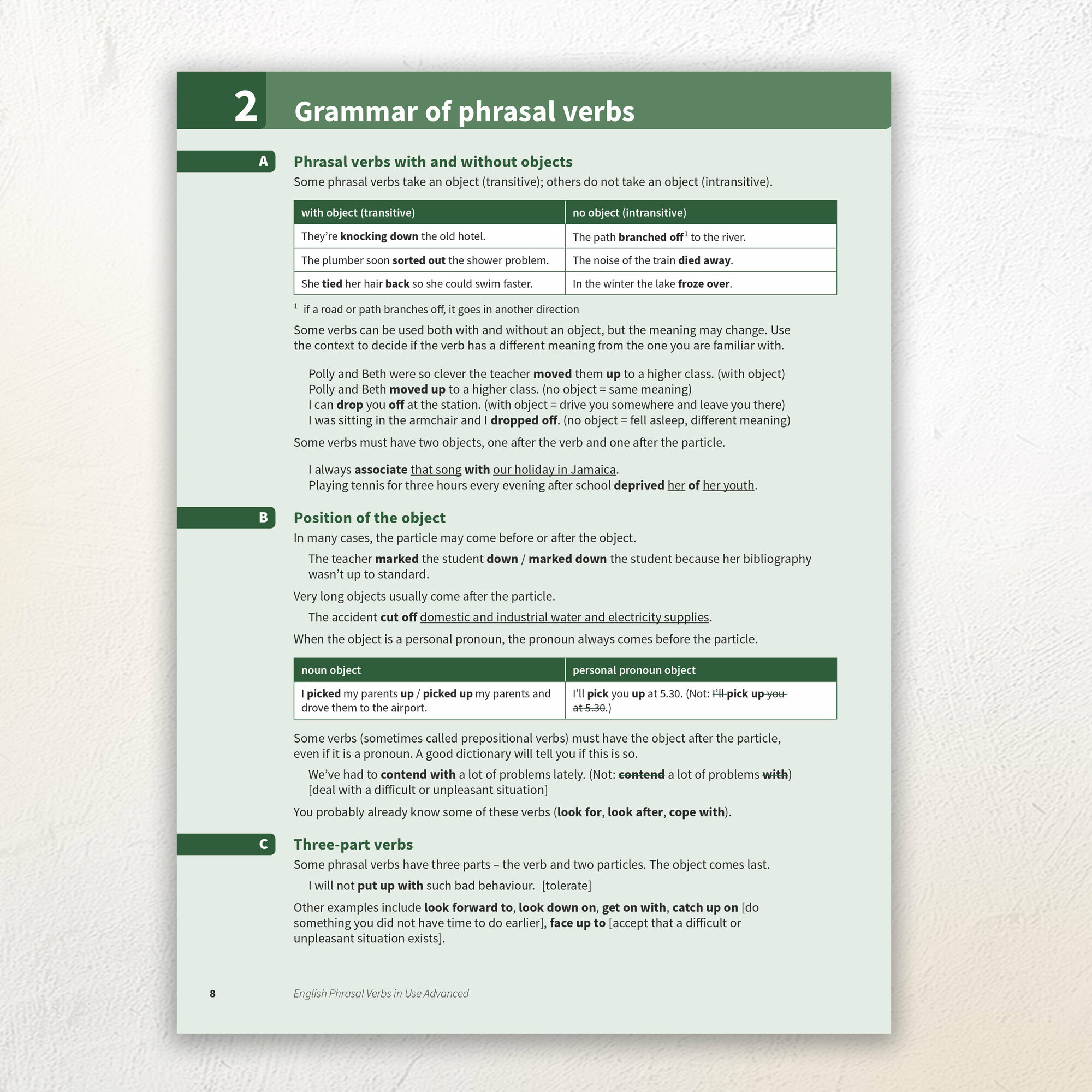 Mccarthy M., O`dell F "English Phrasal Verbs in Use (Second Edition) Advanced" A4 офсетная - фото №17