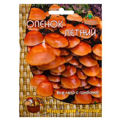 Семена Гриб опёнок летний «Мицелий» на древесном носителе ПОИСК - фото №3