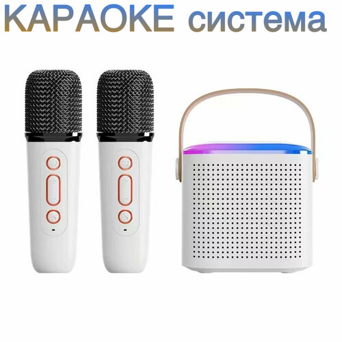 Караоке система NOIR-audio MK-2 с двумя беспроводными микрофонами и колонкой ast mini start pro профессиональный комплект караоке для дома и небольших помещений более 21000 песен радиомикрофоны pro